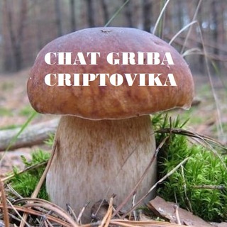 Логотип @chat_grib_cripto - Чат грибов-криптовиков