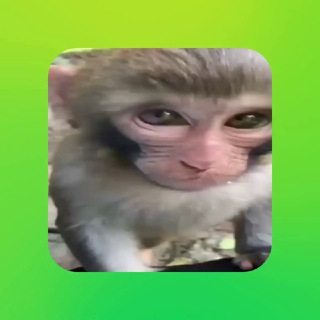 Логотип @chat_hazbi - ХАЗБИК - ЧАТ