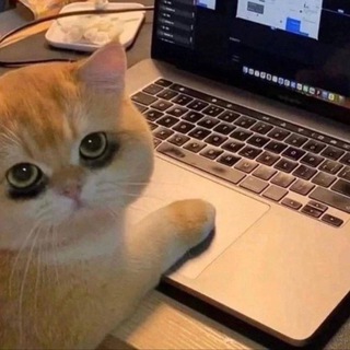 Логотип @chat_himfak - Чат клуба анонимных любителей химии