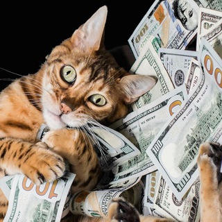 Логотип @chat_investorser - @Chat_invest_biz