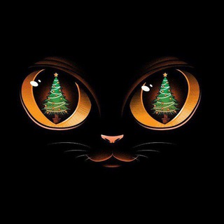 Логотип @chat_plakal_gollivud - Бред