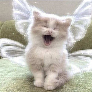 Логотип @chat_qilamiz_ketk - Каналимиззи группаси❤️