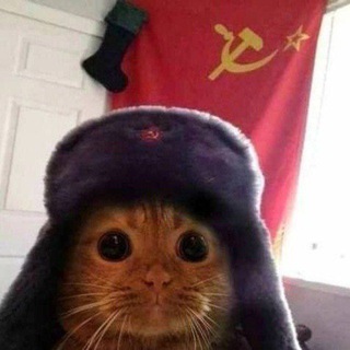 Логотип @chat_saneri - ЧАТИК Nanashi