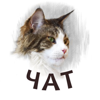 Логотип @chat_sketches_from_reality - Чат Деська&Co