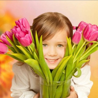 Логотип @chat_sovet33 - Тест