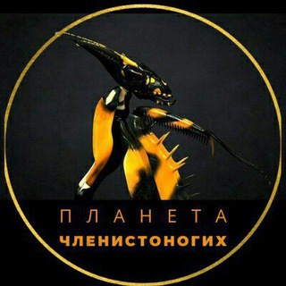 Логотип @chat_v_mire_n - Чат