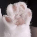 Логотип @chatick01 - Чатик