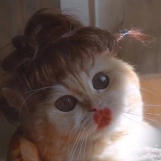 Логотип @chatik_shiza - Chatik_Memologini