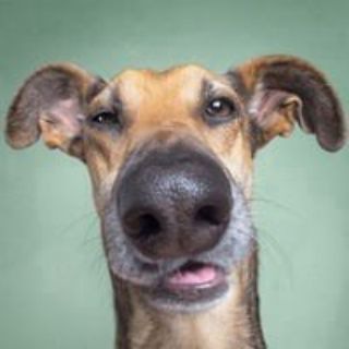 Логотип @chatikdhdjdjdh - Чатик