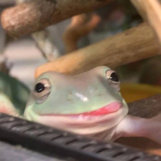 Логотип @chatizhleba - не хлебом единым Chat