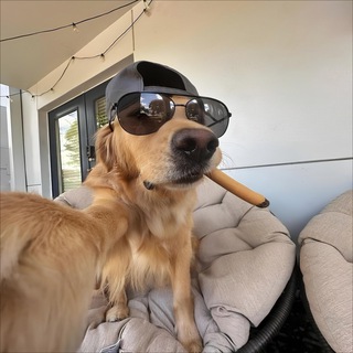 Логотип @chatleirfn - Leirfn чатик