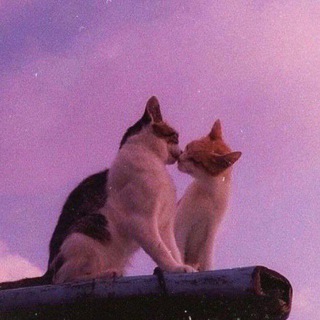 Логотип @chatlookingulsk - Чат 💖 Ульск!