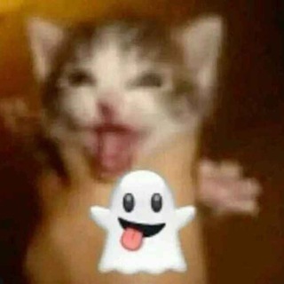 Логотип @chatloqie - сниппеты локи Chat
