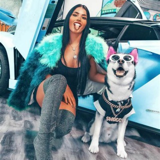 Логотип @chatlucad1845 - Lᴜᴄᴀ Chat