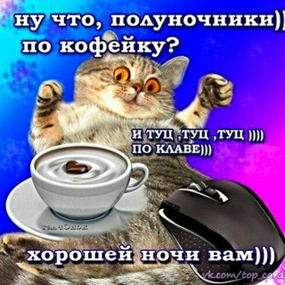 Логотип @chatnauts - Чатонавты
