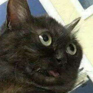 Логотип @chatobschen - Пряничный домик