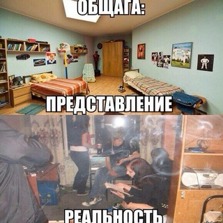 Логотип @chatobshaga - Общага