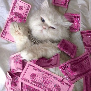 Логотип @chatofbeauty - Банки chat