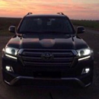 Логотип @chatpalmaa - Чат участников Palmaa.1