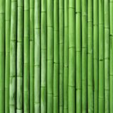 Логотип @chatphotozabor - ФОТОЗАБОРЫ Chat