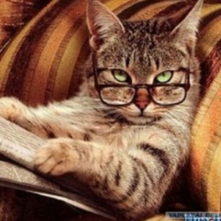 Логотип @chatpravoru - Чат Правоведа