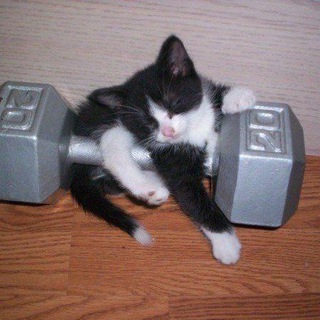 Логотип @chatsatori - обговорення