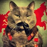 Логотип @chatswodkinotes - ЧАТ | Zᴀᴨиᴄᴋи ᴋᴀждᴏᴦᴏ дня