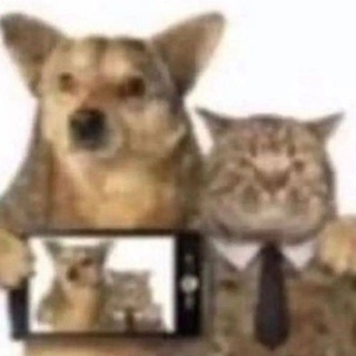 Логотип @chatt0 - Госдум chat