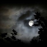 Логотип @chatt20 - Quelli Della Notte