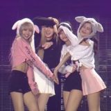 Логотип @chattdruzey - chattdruzey