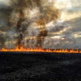 Логотип @chatthevillage - Чат The Village