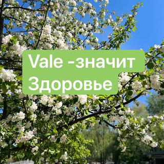 Логотип @chatvalia_atahanova - Чат Vale - значит Здоровье