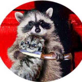 Логотип @chatvdonsk - ChatVdonsk