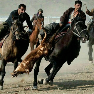 Логотип @chavandoz24 - ЧАВAНДОЗ- 🐎Отлар, улоқчилик ва шунга боглиқ мавзу гурухи.🐎