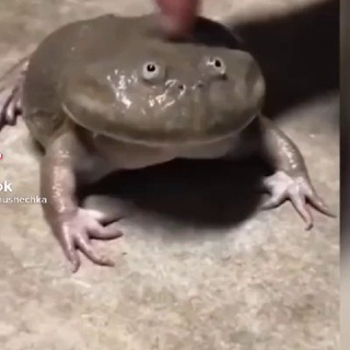 Логотип @cheatsgoodjaba - Сливы читов