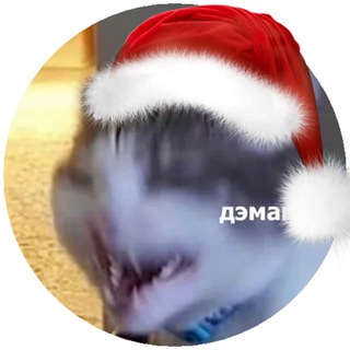 Логотип @chebapuchepella - Выживание на матфаке