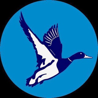 Логотип @cheboksaryafisha21 - АФИША ЧЕБОКСАРЫ