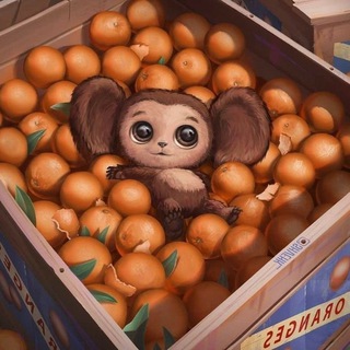 Логотип @cheburashkachat64 - Детская одежда из Китая