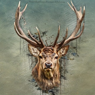 Логотип @chechonte - Бесконечная шутка