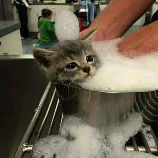 Логотип @cheesecoming - Сырный анал