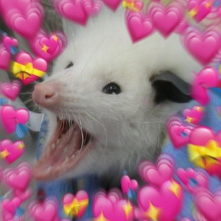 Логотип @cheesekof - Изысканный как сыр с плесенью