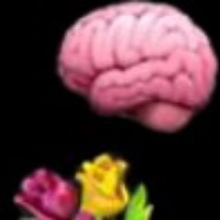 Логотип @cheki_ot_popugi - Чеки От Попуги