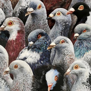 Логотип @chelovekgolub - человек-голубь