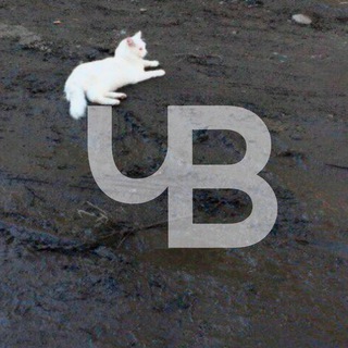 Логотип @chelvibe - Челябинский вайб