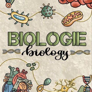 Логотип @chem_bio_rus_ege_oge - Хим/Био/Рус ЕГЭ❤️‍🔥