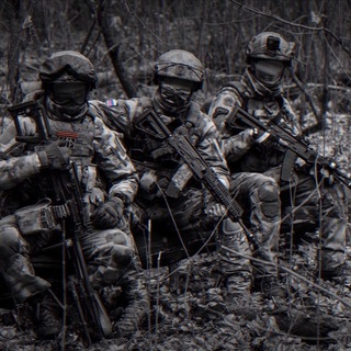 Логотип @chemodan_trevog - Южный тревожный чемодан 🧳