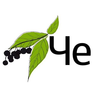 Логотип @cheremushki2017 - Честные Черёмушки