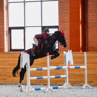 Логотип @cherkasovansk - CherkasovaNSK🥇