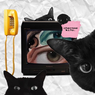 Логотип @chernoekito - черное кито. 🐈‍⬛📺