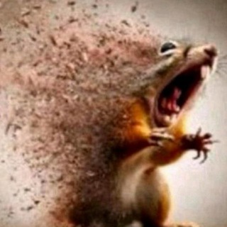 Логотип @cherries_cherry - Орєшкі біг боб